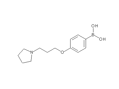 Chemical structure of 4-(3-pyrrolidin-1-yl-propoxy)phenylboronic acid